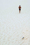 Bondi Beach 1.3 - early work - Bastian Hertel