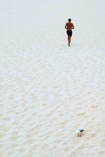 Bondi Beach 1.3 - early work - Bastian Hertel
