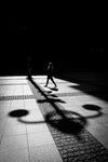 Poesie des Zufalls - Marco Larousse