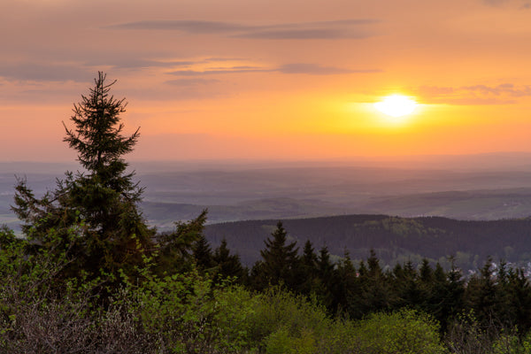 Großer Feldberg - elsewhere - Markus Albert - 24x30