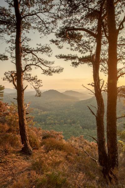Somewhere in between - <30 Dezibel - Lim. Ed - Markus Albert