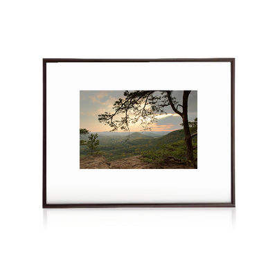Pfälzerwald - elsewhere - Markus Albert - 24x30